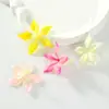 Cabezas de Flores Simuladas de Cinco Pétalos Materiales Hechos a Mano para Bricolaje Decoraciones Florales Coloridas Arreglo de Pared de Flores para Bodas Accesorios de Flores Artificiales Venta al por Mayor