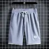 Waffle Verão Casual Roupa Esportiva Conjunto Solto Camiseta de Manga Curta Masculina Verão Estilo Coreano Tendência Conjunto de Duas Peças
