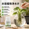 Pastillas purificadoras de agua para plantas hidropónicas cuenco de loto bambú de la suerte purificación de agua desinfección pastillas para mantener frescas las flores planta flor conservante venta al por mayor