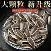 Semillas de girasol crudas de nueva cosecha, tamaño grande, de Mongolia Interior, frescas, sabor original, listas para comer, snacks recién tostados