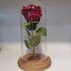 Abajur de vidro Eternal Rose simulação flor direto Tanabata Dia dos Namorados enfeites de presente de feriado criativo