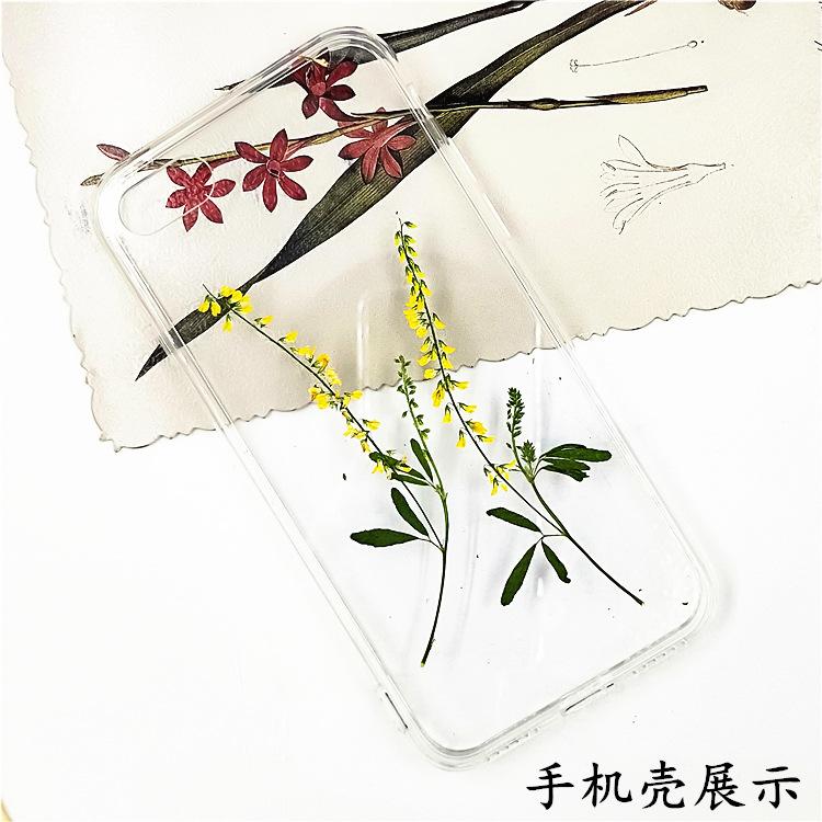 IMG20190914153516.jpg