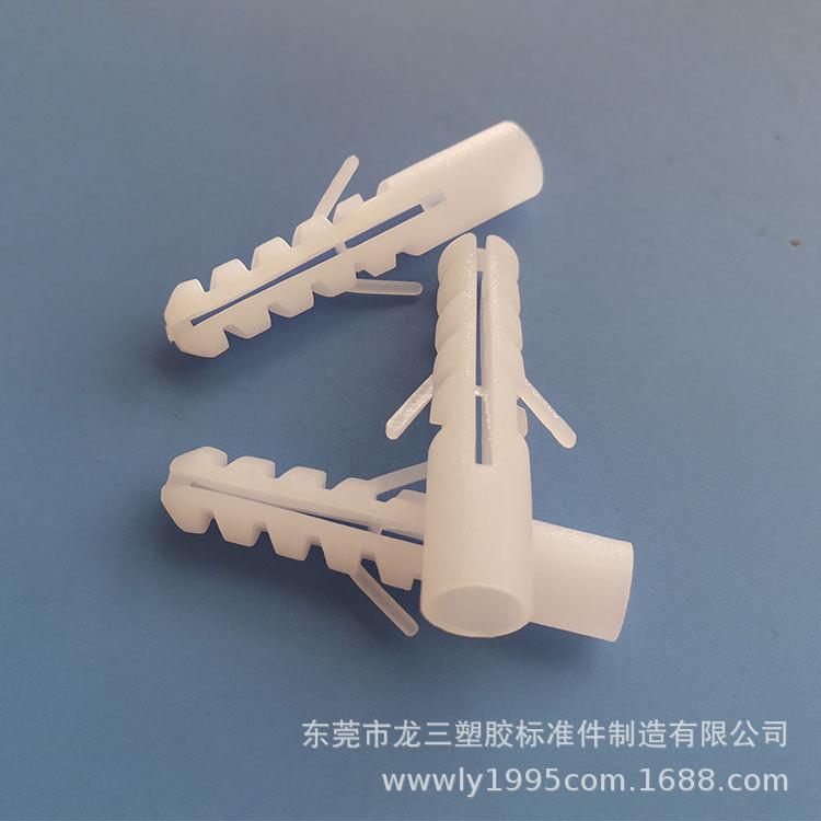 48mm壁虎.jpg