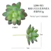 Más de 200 Tipos de Combinaciones de Suculentas Artificiales, Las Plantas Verdes Falsas de Suculentas Más Vendidas en Amazon, Accesorios Creativos para Arreglos Florales DIY, Pared de Plantas Verdes