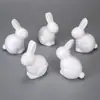 Venda Direta da Fábrica de Coelho de Isopor DIY Artesanal para Decorações de Casamento e Feriados, Flores Eternas Ornaments DIY