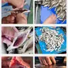 Máquina Matadora Automática Pequeña de Peces, Máquina Desvisceradora Pequeña de Peces Blancos, Pescado Espiga de Trigo, Pargo Amarillo, Carpa Crucian Pequeña, Máquina de Pescado Cuchillo de Otoño