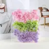 Kit de Materiales de Flores Eternas y Flores Secas en Bolsa: Hortensia, Gypsophila, Margarita, Materiales de Relleno para Flores, Abanico, Vela Kit de Manualidades DIY