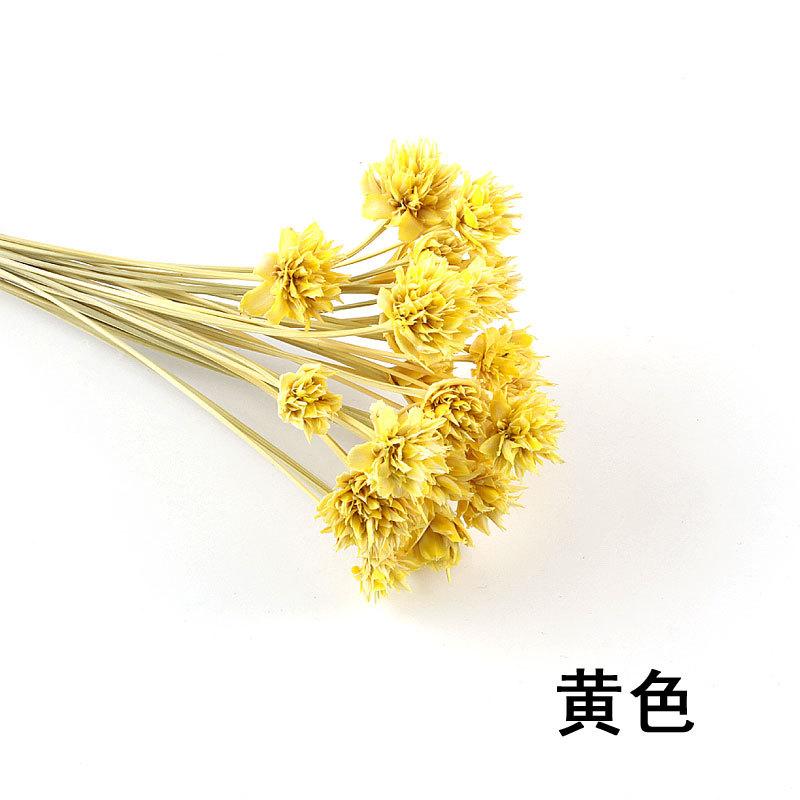 永生花黄色.jpg