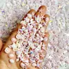Decorações de Nail Art de Concha Perolada Vermelha da Moda Gelo Translúcido Aurora Oceano Misturado Estrela do Mar Leque Capa de Celular Decoração de Copo