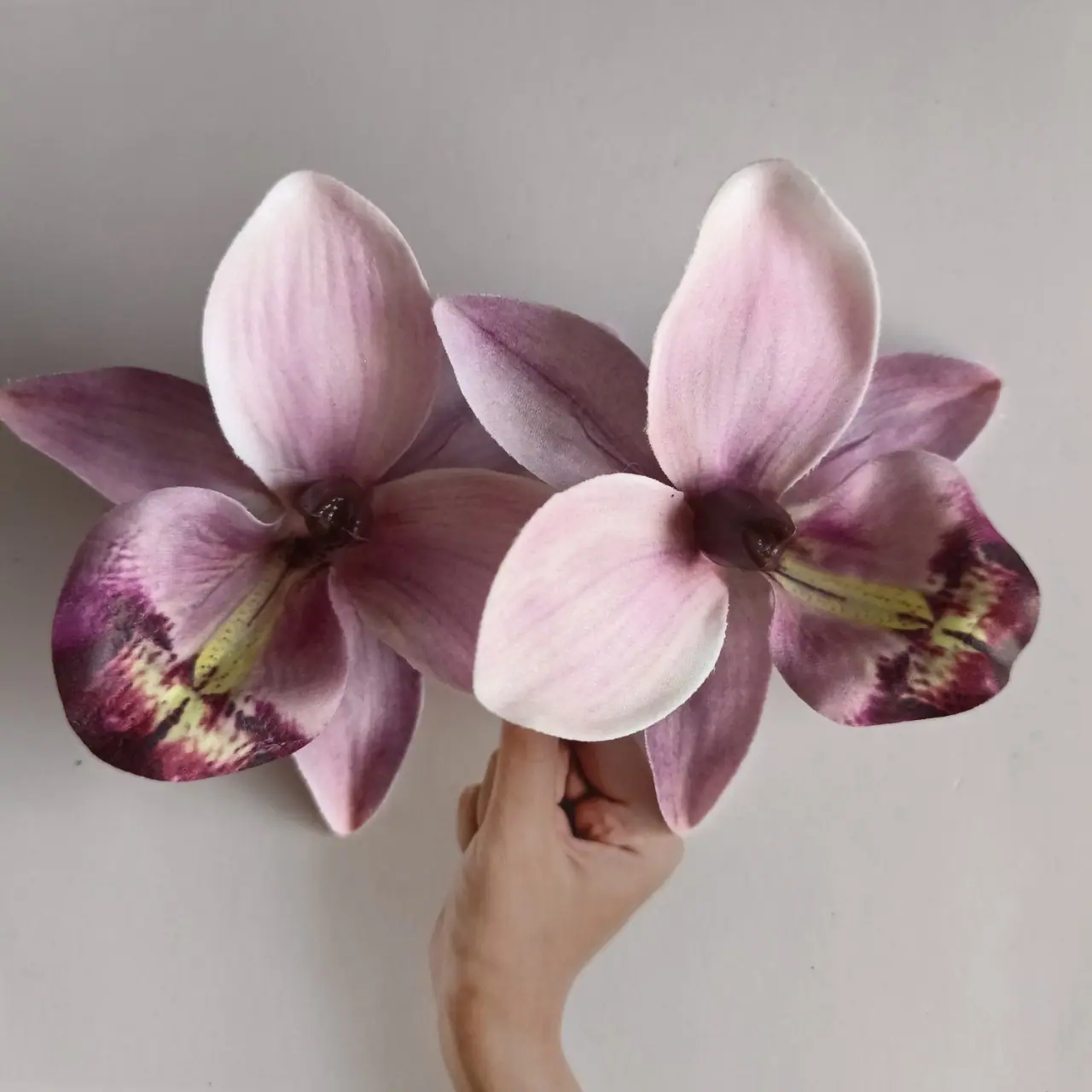 upload