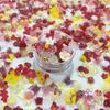Otoño e Invierno accesorios para uñas rojos y amarillos huevo frito tomate lazo rojo chino Camelia hada paquete de materiales para uñas