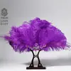 Abanico de Plumas Boda Boda Occidental Sostener Flor Pluma de Avestruz Personalizado Plataforma de Ultramar Accesorios de Fotografía de Actuación Caliente