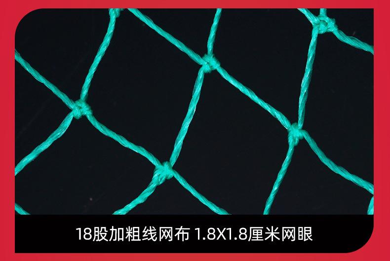 模板_09.jpg
