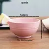 Tigela de Arroz Criativa Doméstica de Palha de Trigo, Resistente a Quedas e Isolada, Tigela para Sopa/Macarrão, Prato, Hashis e Colher, Conjunto de Talheres Infantis