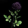 Gran rosa rosa rosa flor artificial flor de seda encaje retro francés flor seca boda flor de Qingming al por mayor