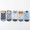 Calcetines de dibujos animados nuevos de primavera y verano para mujer, calcetines náuticos de estilo académico, calcetines invisibles de boca baja, calcetines de comercio exterior japoneses