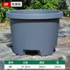 Vaso de flores de resina baixa espessada Bulbo respirável de plástico Tulipa Lírio Açafrão Vermelho Especial Grande Pote