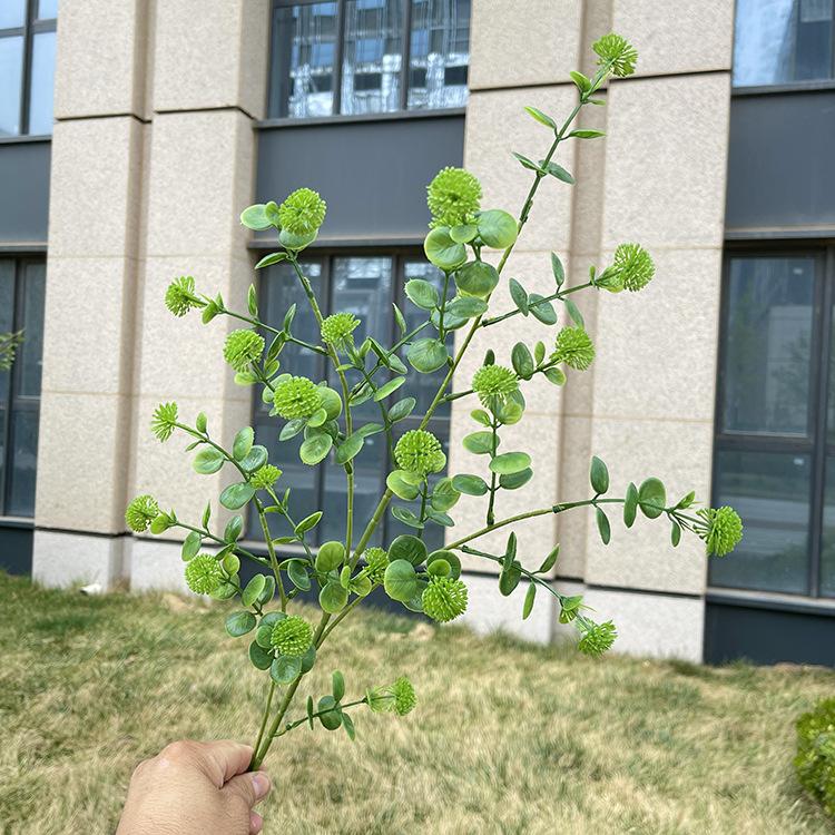 4叉原色夹夹果 深绿.JPG