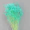 Arranjo de Flores para Decoração de Casa, Estilo Fresco e Natural, Flores Preservadas, Buquê Sonhador de Gipsofila Estrelada Atacado