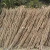 Suministrado Directamente por el Fabricante, Troncos de Madera Huangniu, Madera Dura Natural, Diversas Especificaciones de Madera para Jaulas de Pájaros, Materiales de Decoración para Jardinería, Longitud 2-3m Metros