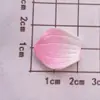 Capa de Celular Flor de Desenho Animado em Resina, Pingentes para Sapato, Copo de Água DIY, Caixa de Armazenamento para Geladeira, Acessórios de Cabelo com Cola de Creme