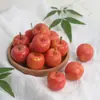 Chumfun Talla de Madera Pintada a Mano Manzana Pequeña Modelo de Fruta Artificial Adornos Decorativos Accesorios Manzana Verde Manzana Roja