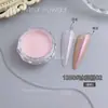 Arte de Unhas Pó Espelhado Sereia Pó Aurora Arco-Íris Reino Celeste Pó Luar Pó Pele de Gelo Fada Pó Glitter Popular Joias