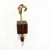 Ímã de Geladeira de Madeira Maciça Mais Vendido no Exterior Tubo de Ensaio Magnético Vaso Arranjo de Flores Madeira de Faia Adesivo Magnético de Parede Vaso de Noz-Preta