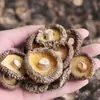 Hongos shiitake secos, grado especial, hongos pequeños comerciales a granel, shiitake, hongos de invierno, hongos flor, peso neto