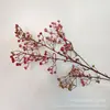 Gipsofila Tridimensional Spray Colorido Simulação Carambola Jardim Casamento Fileira de Flores de Boas-Vindas Flor Plástica Casa