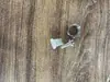 Conector de Barril de Cerveja Estilo Poço Dispensador de Cerveja Artesanal Anel de Vedação Acessório Cotovelo para Torneira de Cerveja