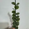 Planta Simulada Folha de Dinheiro de Eucalipto Única com Decoração Buquê de Natal Cena de Casamento Vitrine