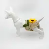 Pantalones menstruales para perros hembra, diseñados para prevenir fugas durante su ciclo de celo. Adecuado para Shiba Inus y Bichones Frisés. Estos pantalones sanitarios ofrecen protección contra la atención no deseada y son transpirables y cómodos.. Pantalones cortos para perro