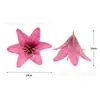 Flor de Lirio de Seda Artificial 3D 14cm Pasador de Lirio Tocado de Performance Disfraz DIY Flor de Mesa de Boda Pared de Fondo