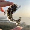 Adornos Creativos de Delfín, Manualidades, Adornos de Ballena Animal Marino, Decoraciones para Paisajismo, Recuerdos, Pequeños Regalos, Transfronterizo
