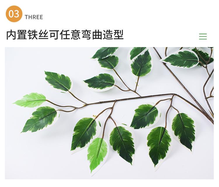 详情仿真绿植_07.jpg