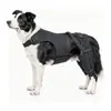 Equipo de Protección para Perros Protectores de Patas Protectores Articulares Arnés de Pecho Marco de Soporte para Lesión de Luxación de Rodilla Canina