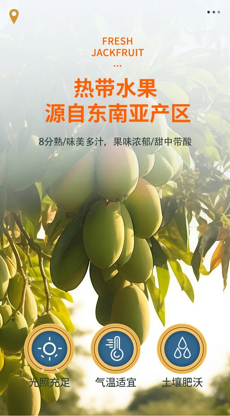 详情_06.jpg