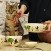 Crema de Gato Viento Calabaza Vajilla Cerámica Dibujos Animados Platos Domésticos Alto Valor de Color Rojo de Internet Bol de Arroz Bol de Sopa