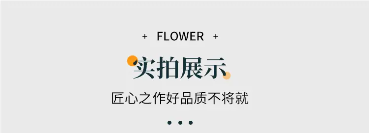 详情_11.jpg