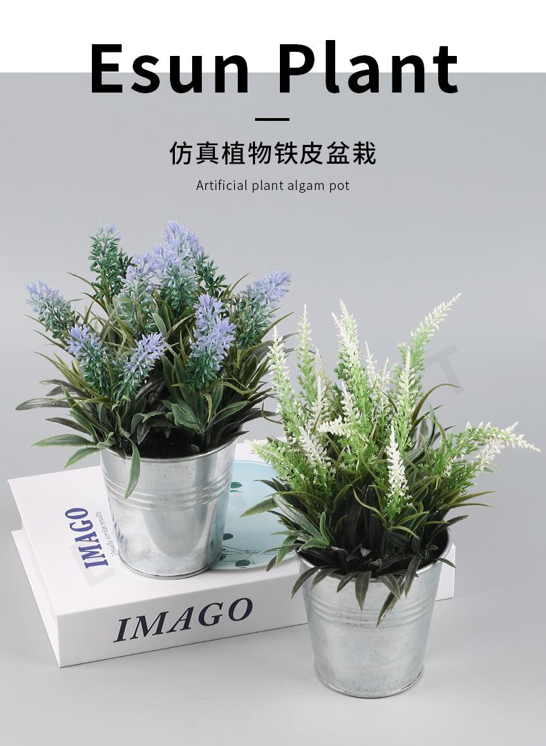 ES1209详情_01.jpg