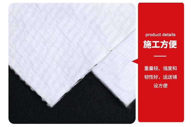 9三维复合排水板----_06.jpg