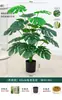 Planta Verde Monstera Bambu Simulação Nórdica Planta Grande Biónica em Vaso Planta Falsa Decoração de Sala de Estar Interna Ornamento de Chão Árvore