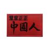 Linguagem inspiradora Caracteres chineses Frase de ouro minha juventude Eu tomo a decisão de viver é jogar remendo de tecido bordado velcro