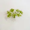 Plantas Acuáticas Simuladas al por Mayor Ramo Falso con Hierba Paisajismo para Acuario Plantas Acuáticas Hierba Falsa Hierba Orquídea Hoja Persa Decoración de Jardín de Infancia