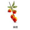 Cubeta de sujeción de fábrica Rama pequeña Decoración de Año Nuevo Cubeta de bendiciones Material espuma Fruta de granada Fruta de caqui Rama pequeña de granada de Nochevieja