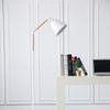 Luminária de Chão Ins Nórdica LED Sala de Estar De Chão Quarto Luminária de Mesa Amazon E-commerce Transfronteiriço Luminária de Ambiente Estilo Ins