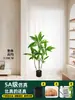Planta Falsa Decorativa Lirio Canna Planta Verde Artificial Árbol de Hierro Rojo Planta en Maceta de Interior Adorno Grande de Pie Sala de Estar Lujo Ligero Planta Realista