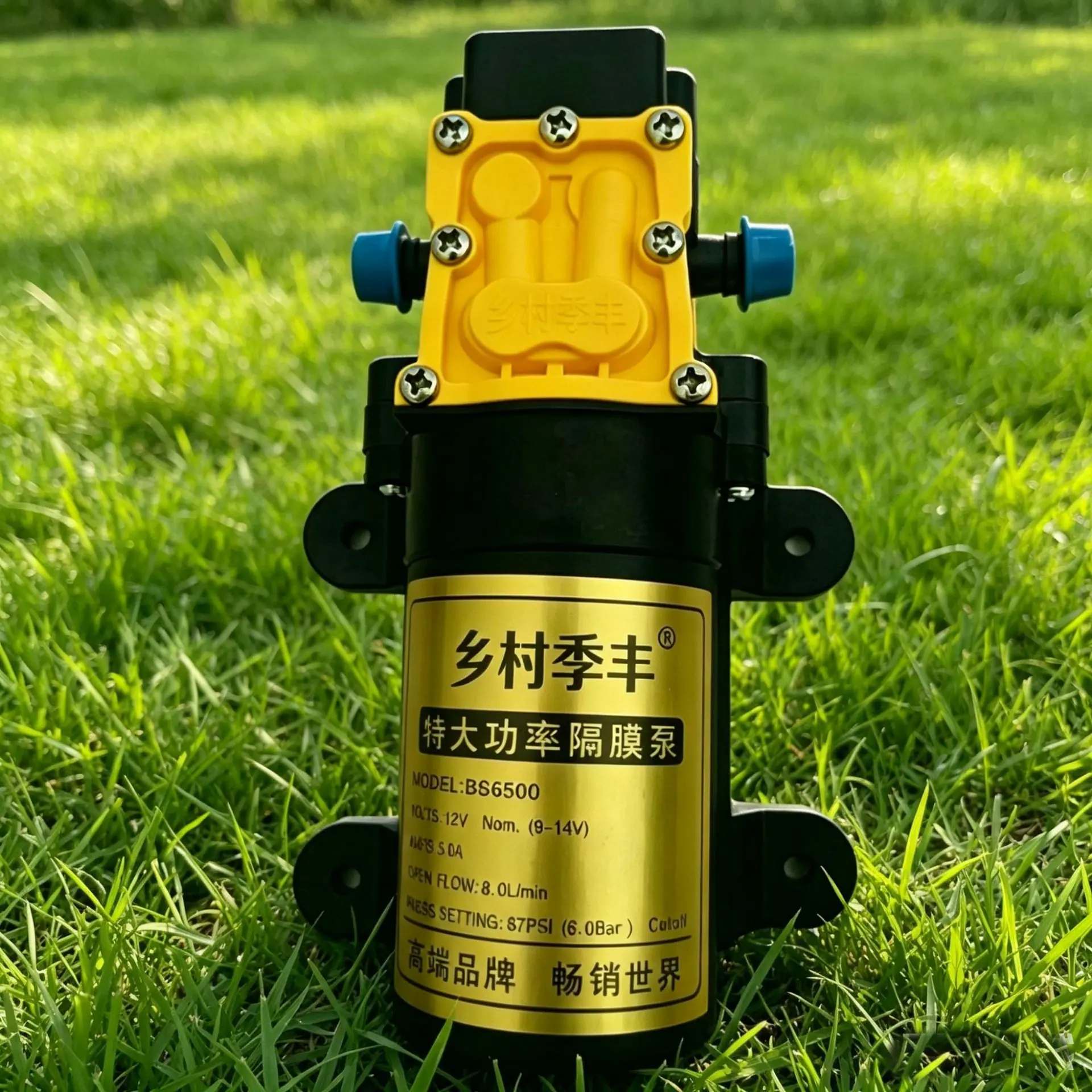 微信图片_20260607183659_756_3