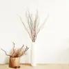 Ramas Secas Estilo Wabi-Sabi, Troncos de Árbol, Ramas Secas Decorativas, Paisajismo, Ramas de Sauce Dragón, Arreglos Florales, Flores Secas, Troncos y Ramas